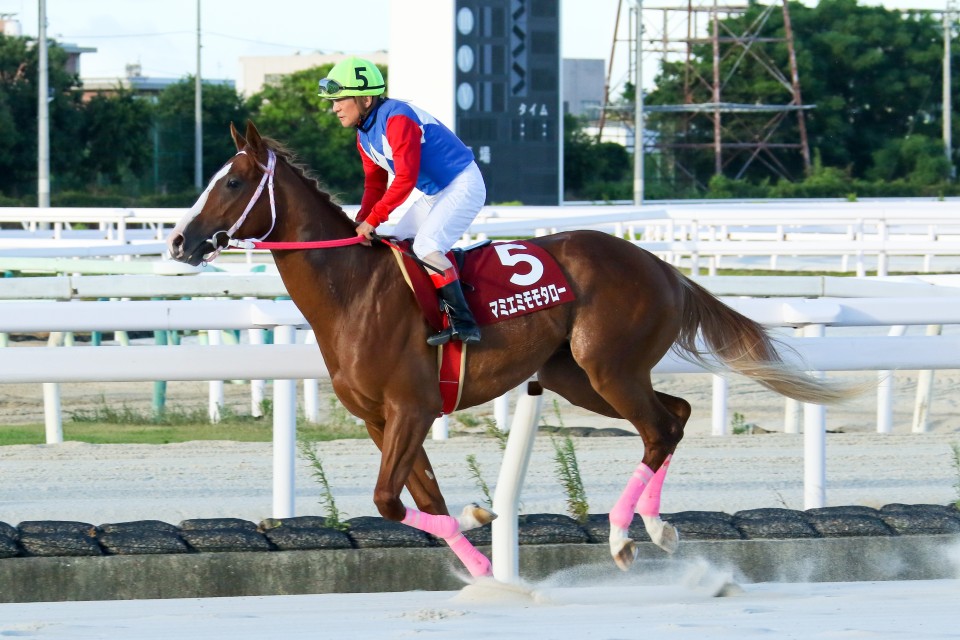 過去のレース映像